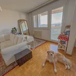 Chambre Confortable Proche De L\'Aeroport Gva