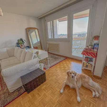 Homestay Confortable Proche De L'aeroport Gva Geneva