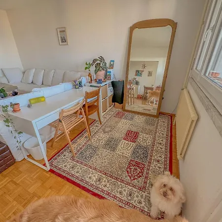 Homestay Confortable Proche De L'aeroport Gva *